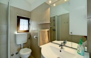 Un baño con lavabo, inodoro y espejo. en Apartments Irene, en Grožnjan 15 fotos más