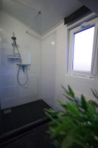 a bathroom with a shower with a window and a plant at chalet hensbroek in Hensbroek