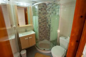 a bathroom with a shower and a toilet and a sink at Kavousanos Apartments in Istro