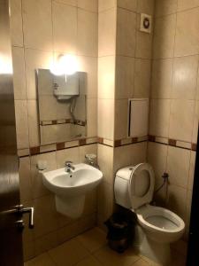 La salle de bains est pourvue de toilettes et d'un lavabo. dans l'établissement Студио Пампорово Палас - Pamporovo Palace, à Pamporovo