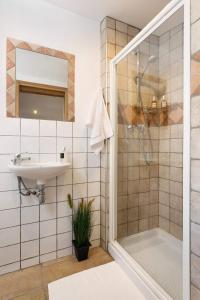 uma casa de banho com um chuveiro e um lavatório. em Penthouse Apartment, 2 Bedroom, 2 Bathroom em Chamonix-Mont-Blanc