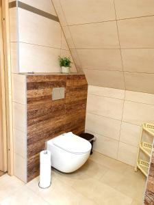 ein Bad mit WC in einem Zimmer in der Unterkunft Domki U Hani in Murzasichle