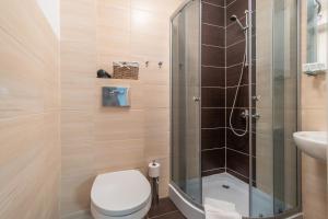 W łazience znajduje się prysznic, toaleta i umywalka. w obiekcie Villa Rafałko w Dźwirzynie