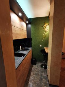 cocina con fregadero y pared verde en Centar Stan na dan sa besplatnim parkingom, en Novi Sad
