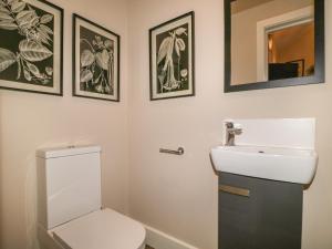 a bathroom with a toilet and a sink at Tarn End Cottages 8 in Brampton