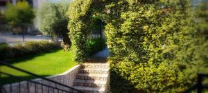 Zahrada ubytování Apartmani Tomislav