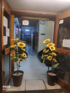 a hallway with yellow flowers in pots in a building at HOTEL SUKHMANI in Guwahati