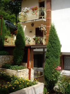 西普科沃的住宿－Guest House Rusalka，一座带植物和鲜花阳台的建筑