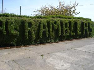 a hedge with the word pharmacy written on it at The Ramblers in Trusthorpe
