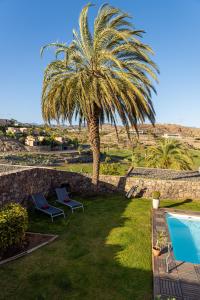 eine Palme und zwei Stühle neben einem Pool in der Unterkunft Salobre Golf Villa 3 Premium in Salobre