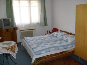 ein kleines Schlafzimmer mit einem Bett und einem TV in der Unterkunft Tóth Magánszállás Hajdúszoboszló in Hajdúszoboszló