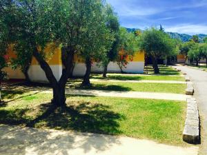 una fila di alberi in un parco con un marciapiede di Club Esse Sunbeach a Squillace