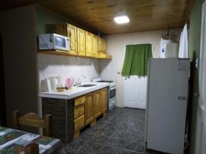 a small kitchen with a refrigerator and a sink at Cabaña Jofra in San Rafael
