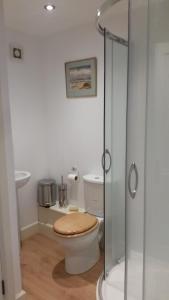 a bathroom with a toilet and a glass shower at Old School Apartment 2 Ground Floor in Bury Saint Edmunds