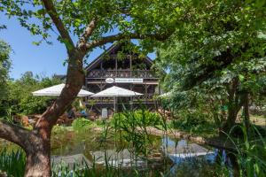 Κήπος έξω από το Dom Žaba - Spreewaldatmosphäre im neu renovierten Bauwagen