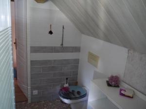 a bathroom with a shower and a toilet in a room at La Grange in Saint-Père +20 photos