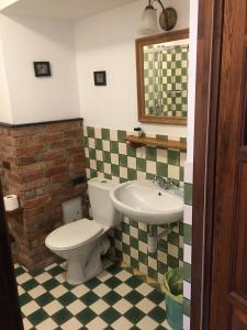 a bathroom with a toilet and a sink at Pensjonat Stary Spichlerz in Ełk