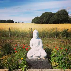 a white statue sitting in a field of flowers at Hostel Hof Kranichstein in Kluis