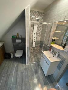 y baño con lavabo, ducha y aseo. en Centrum Apartman S- dom en Bardejov