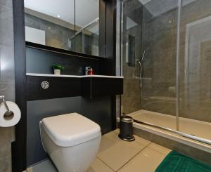 a bathroom with a toilet and a shower at Executive Apartment Near Chiswick and Kew Gardens in Chiswick
