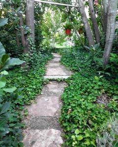 un camino de piedra a través de un jardín con plantas verdes en La Casa de Huéspedes, en Santa Teresita