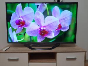 um ecrã de televisão com flores de orquídea roxas em New !!! Modern Lux apartment in the city center with a terrace em Mukacheve