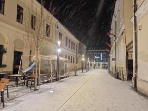 Fullton Central talvel