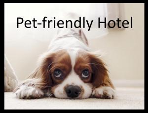 Φωτογραφία από το άλμπουμ του Euromotel Croce Bianca στη Βερόνα