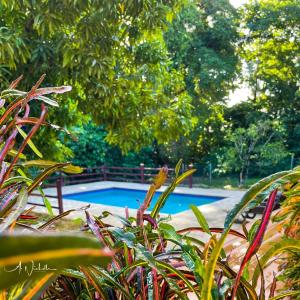 Swimming pool sa o malapit sa Tropical Apartments Tobago