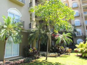 Aed väljaspool majutusasutust Tamarindo Condo 206 Matapalo