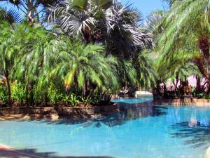 Bassein majutusasutuses Tamarindo Condo 206 Matapalo või selle lähedal