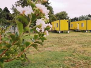 eine Reihe von Mobilheimen auf einem Feld mit Blumen in der Unterkunft TERRABOX Apart de contenedores in Olivera