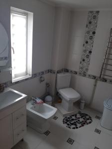 a bathroom with a toilet and a sink at У Ані in Lazeshchyna