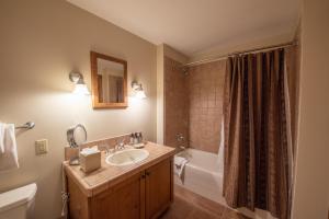 a bathroom with a sink and a toilet and a tub at Kid-Friendly 2 bedroom 3 bathroom condo - Slopeside condo in Crested Butte