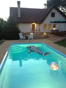 Basen w obiekcie Dom Letniskowy na Kaszubach z podgrzewanym basenem lub w pobliżu