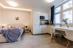 Kuchyňa alebo kuchynka v ubytovaní APARTIA Skořepka, Brno-centrum