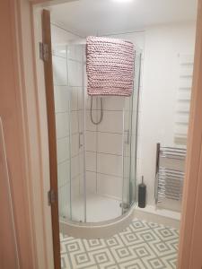 a shower with a glass door in a bathroom at Rosie flanagan's in Skegness
