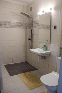 uma casa de banho com um chuveiro, um lavatório e um WC. em Krisztina Apartman em Salgótarján