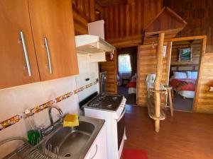 eine Küche mit einem Herd und einem Waschbecken in einer Hütte in der Unterkunft Cabañas y Hostel Isla Magica in Ancud