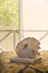 Fotografie z fotogalerie ubytování Hotel Amar Inn v destinaci Puerto Morelos