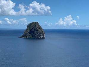 Paesaggio naturale nelle vicinanze dell'appartamento