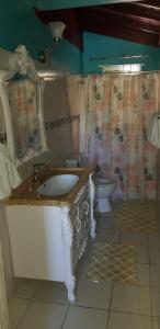 Vonios kambarys apgyvendinimo įstaigoje Chaudhry Holiday House Montego Bay