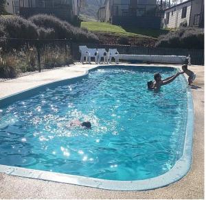 a group of people playing in a swimming pool at Beach Cabin Apollo Bay in Apollo Bay