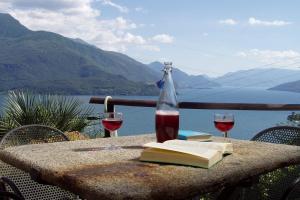 グラヴェドーナにあるAmarone Classicaの本とワイン2杯付きテーブル