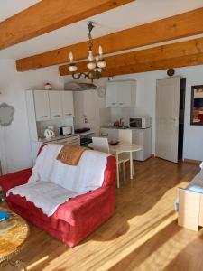 ein Wohnzimmer mit einem roten Sofa und einer Küche in der Unterkunft Studio agréable et très lumineux (Salles d'Aude) in Salles-dʼAude