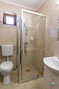 a bathroom with a shower and a toilet and a sink at Pensiunea 3 Brazi Zarnesti in Zărneşti