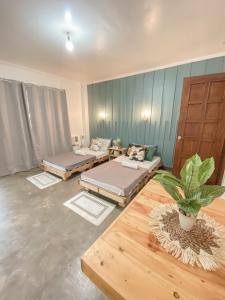 Zimmer mit 3 Betten und Topfpflanze in der Unterkunft Pallet Homes - Tabuc Suba in Iloilo City