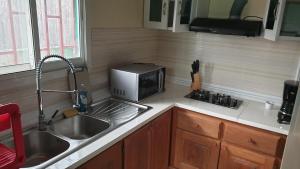 a kitchen with a sink and a microwave at Aimé Anaïs in Abaga