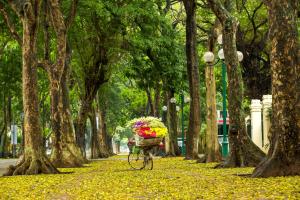 Garður fyrir utan Hanoi Center Silk Hotel & Travel