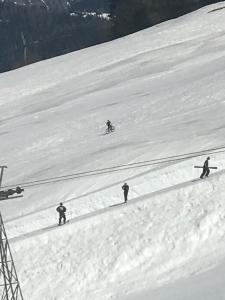 "Falkenstein" im Winter